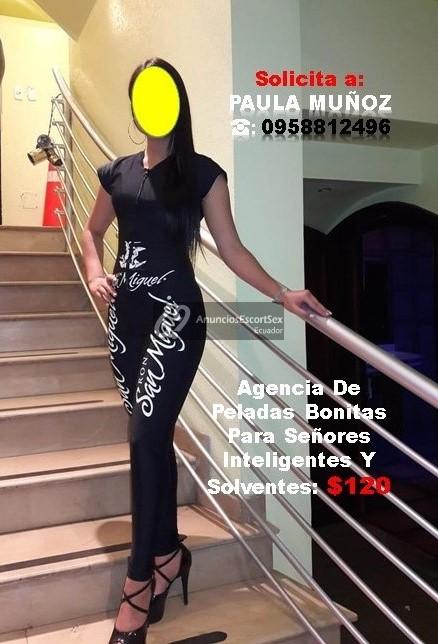 Para Ejecutivos Que Saben Elegir Con Estilo