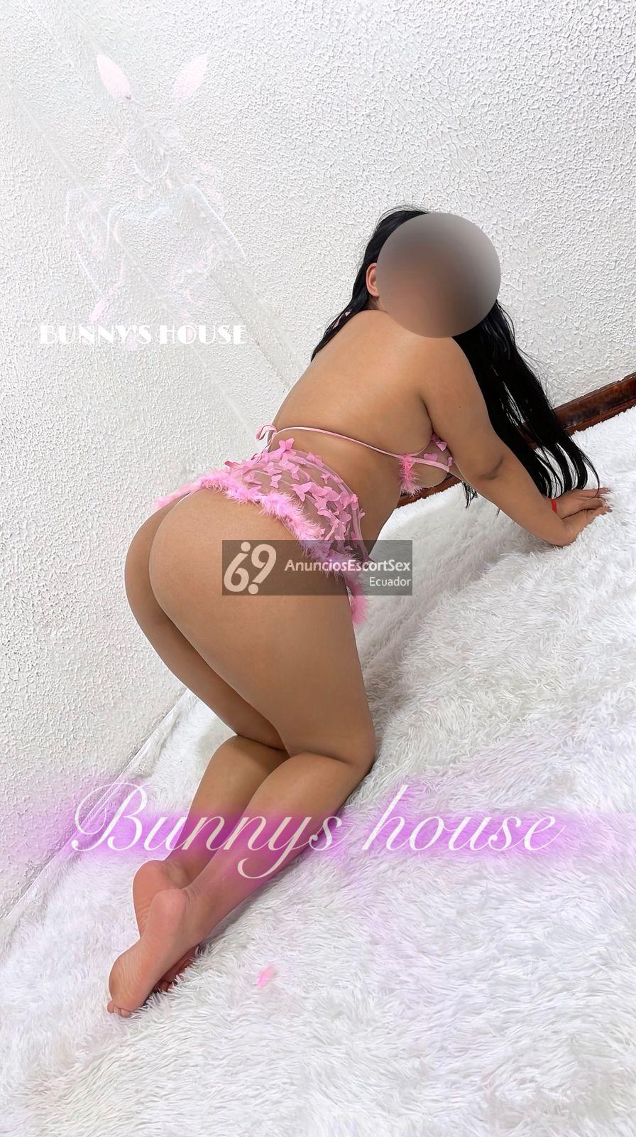 Bunny House VIP | 0958911434, Quito, Ecuador