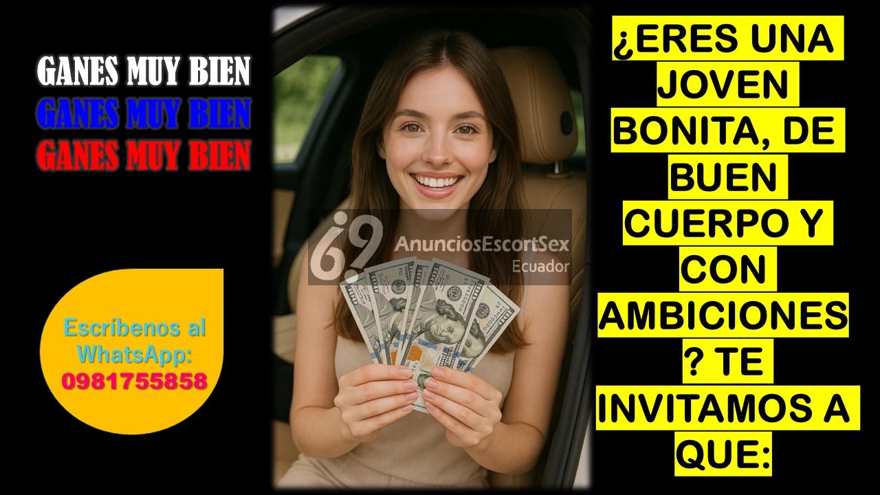 Ingresos Diarios En Un Entorno De Alto Nivel
