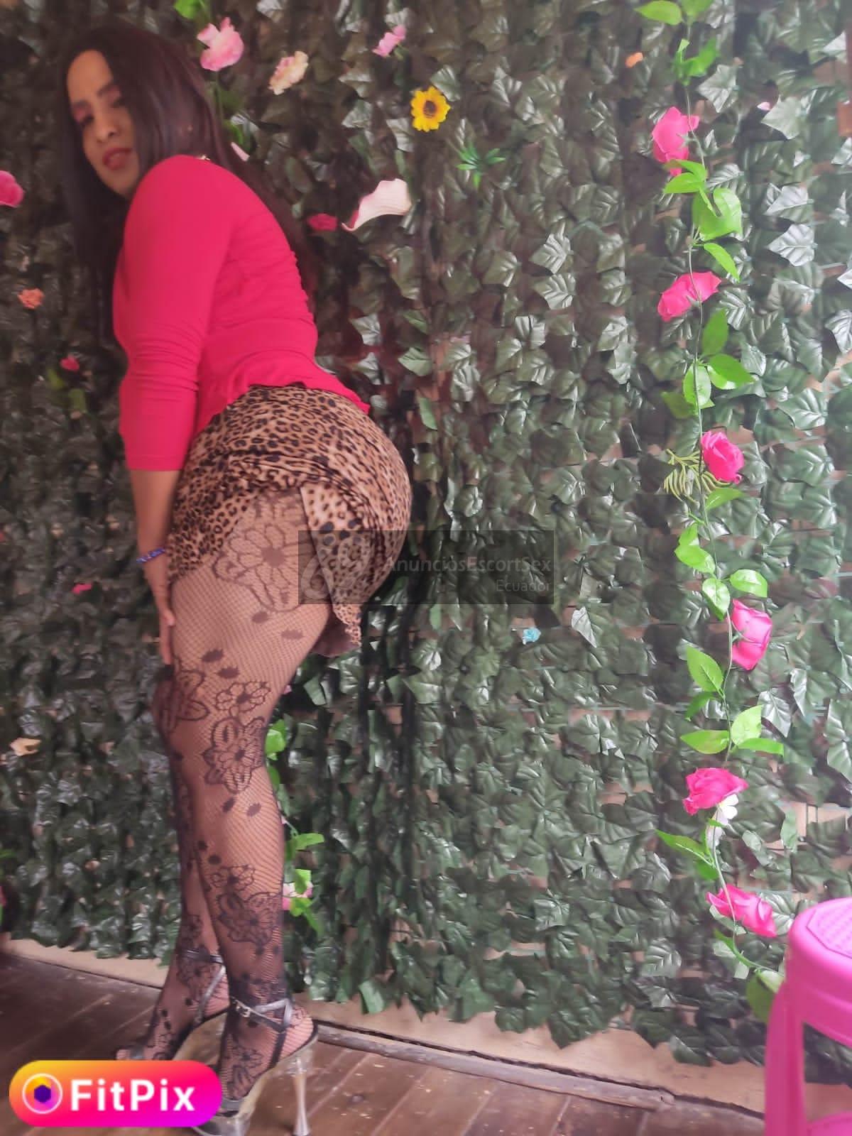 Alis tu pecado mas Rico Trans en Guayaquil