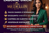 CASA MEDELLIN OPORTUNIDAD LABORAL EN EL MEJOR LOCAL LEGAL Y EL MAS SEGURO EN QUITO ….!!!